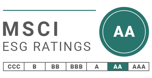 MSCI Rating